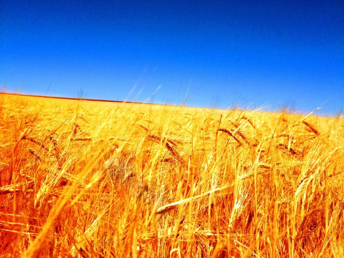 by bmcmath_spainfield